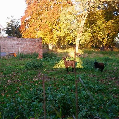 Le Jardin Des Ecureuils Ξενοδοχείο Demuin Εξωτερικό φωτογραφία