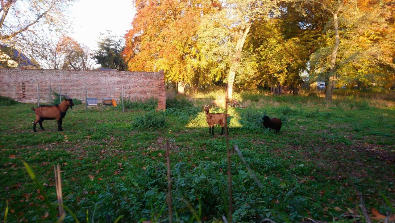 Le Jardin Des Ecureuils Ξενοδοχείο Demuin Εξωτερικό φωτογραφία